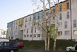 Solmax